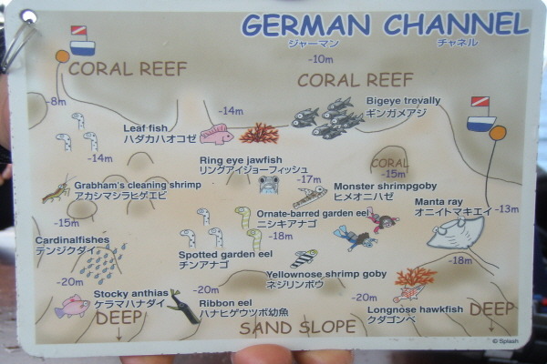 만타를 또  봤네....너무 자주본다...
