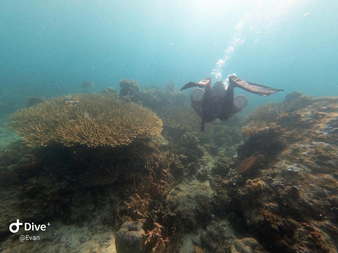 Coron Palawan Philippines - Colal cylinder