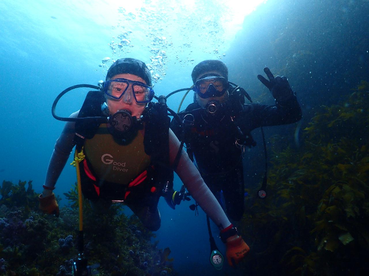 짧지만 재미있는 문섬 드리프트 다이빙