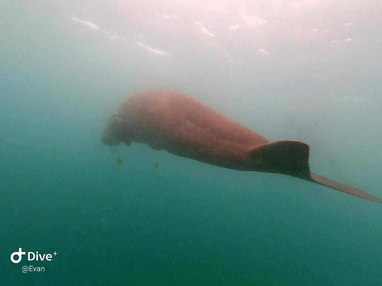 Coron Palawan Philippines - 듀공포인트