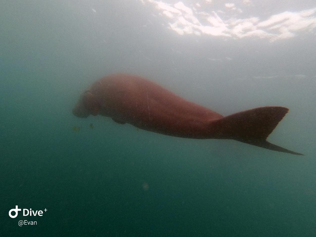 Coron Palawan Philippines - 듀공포인트