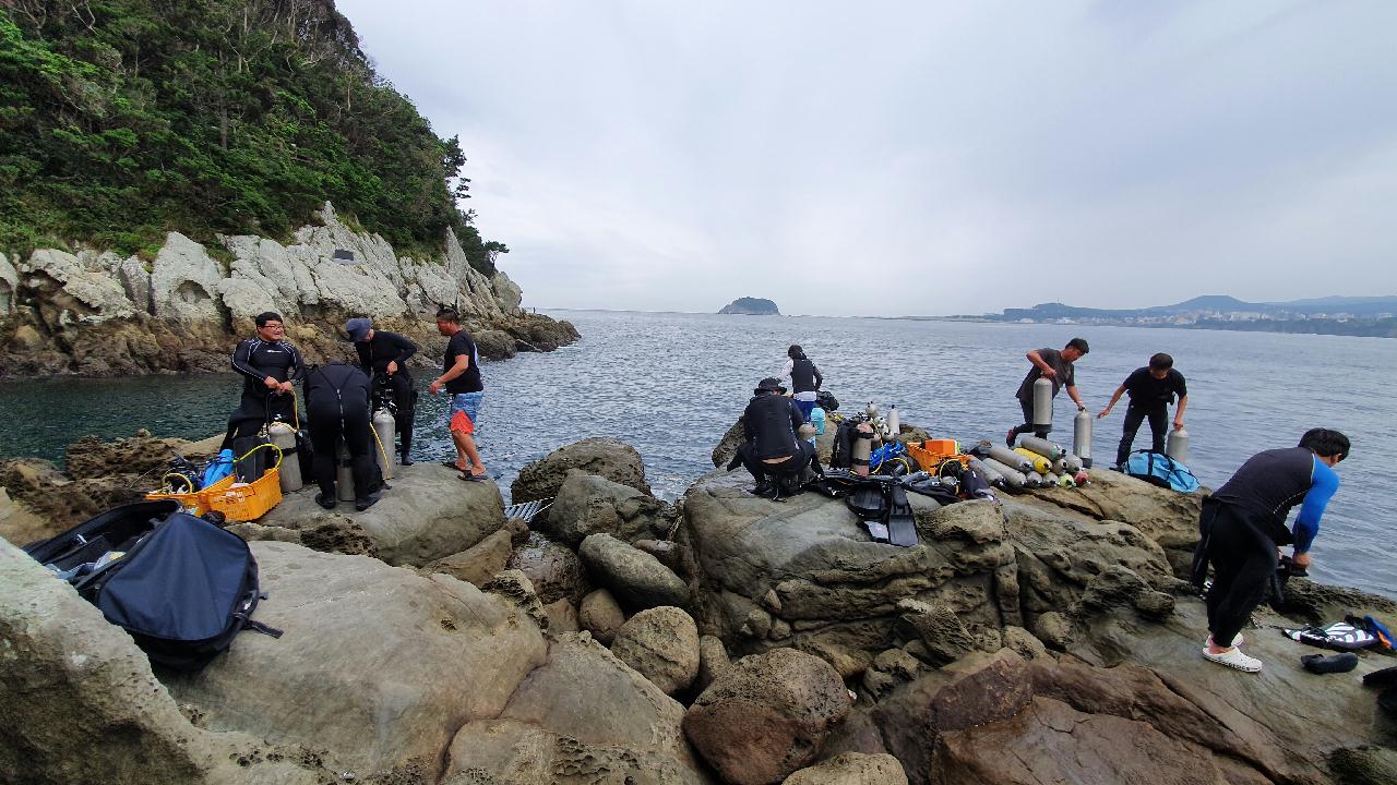 제주 찰스다이브 숲섬 인공어초