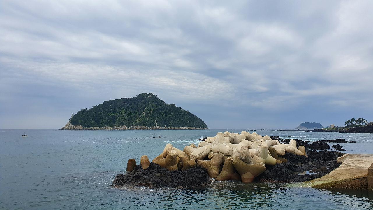 제주 찰스다이브 숲섬 인공어초