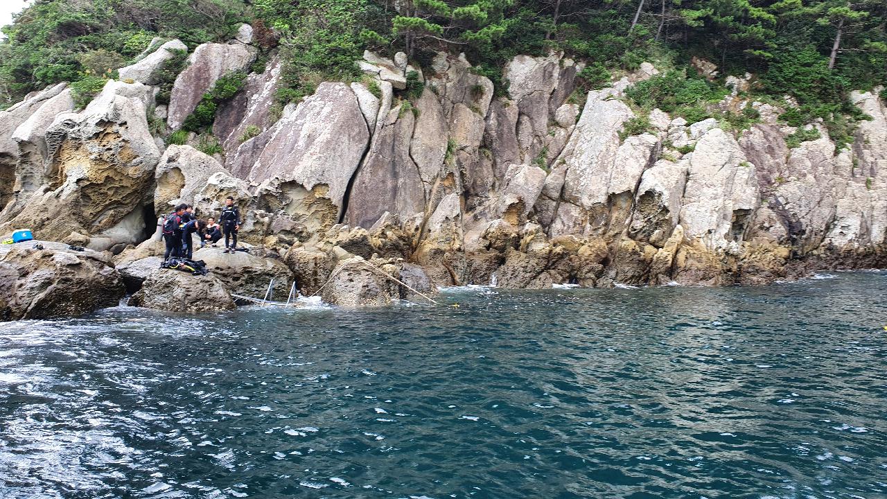 제주 찰스다이브 숲섬 인공어초