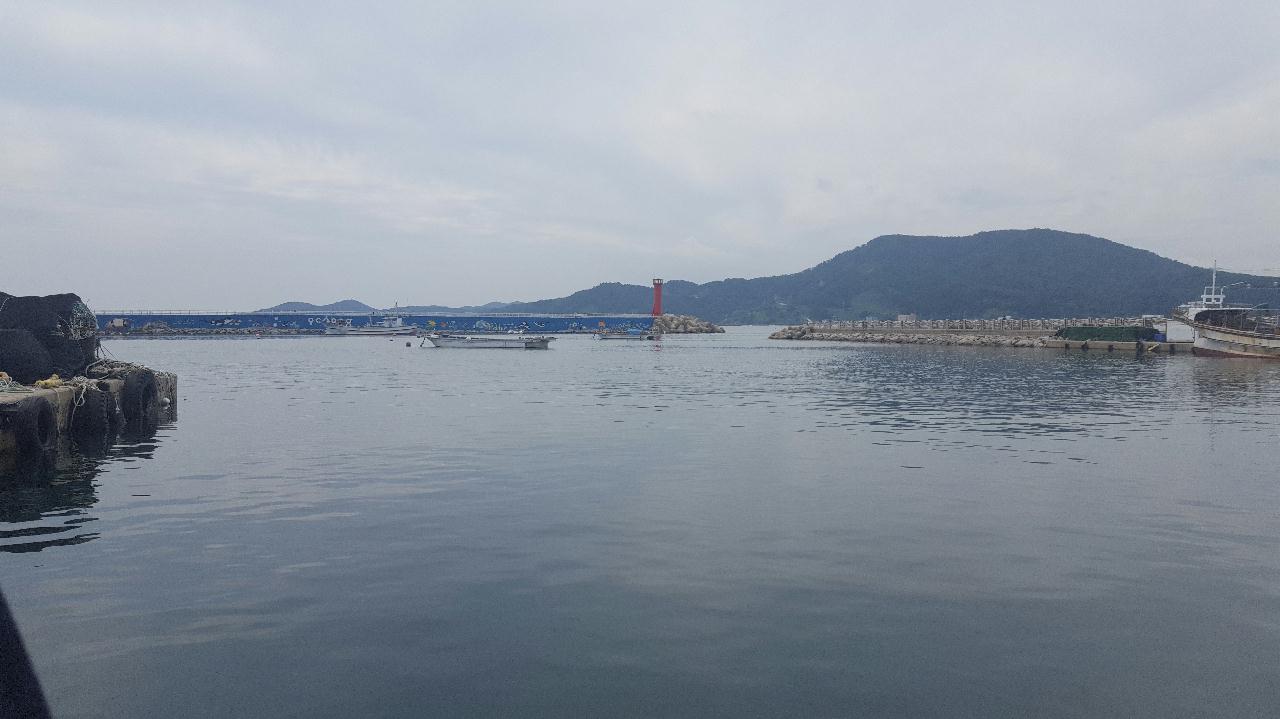 모포앞