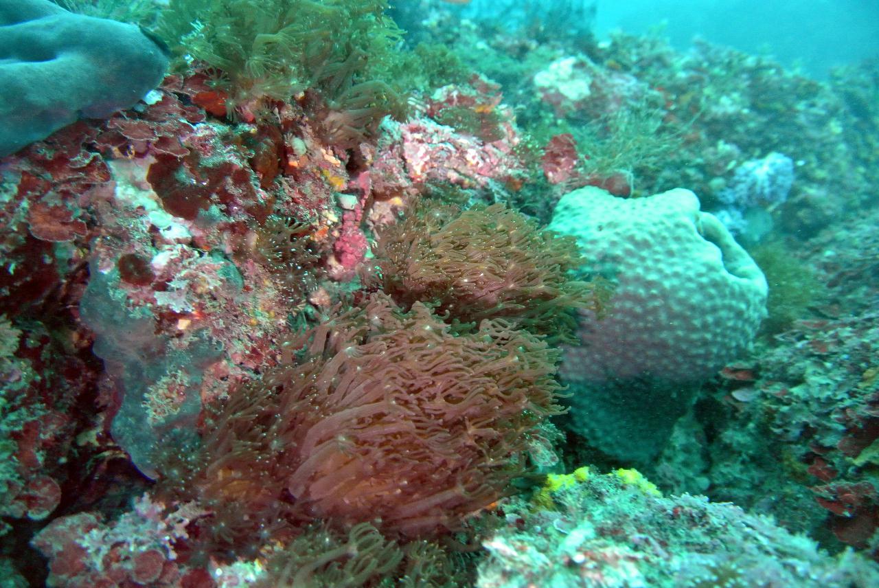 동해에서 다이빙하는거 같애