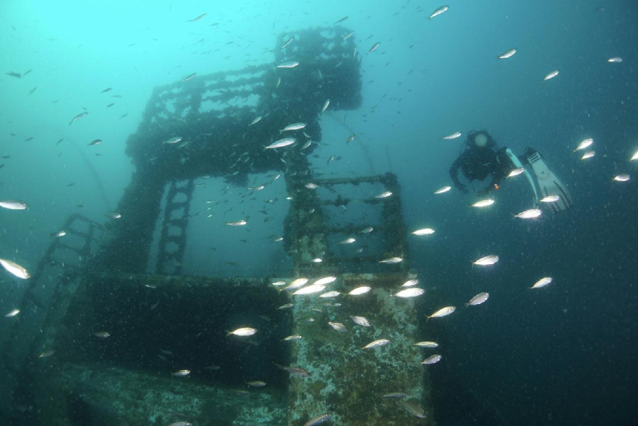 강릉사천 마린플래닛 - 엠버 33난파선
