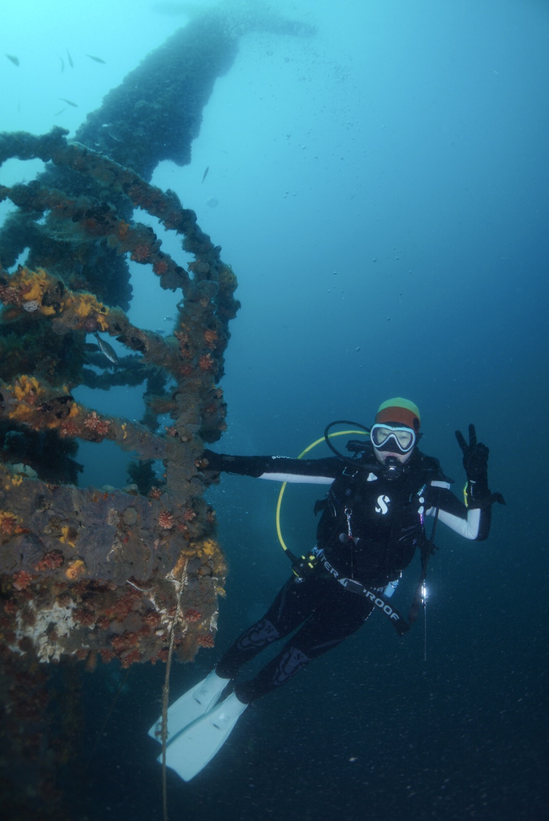 강릉사천 마린플래닛 - 엠버 33난파선