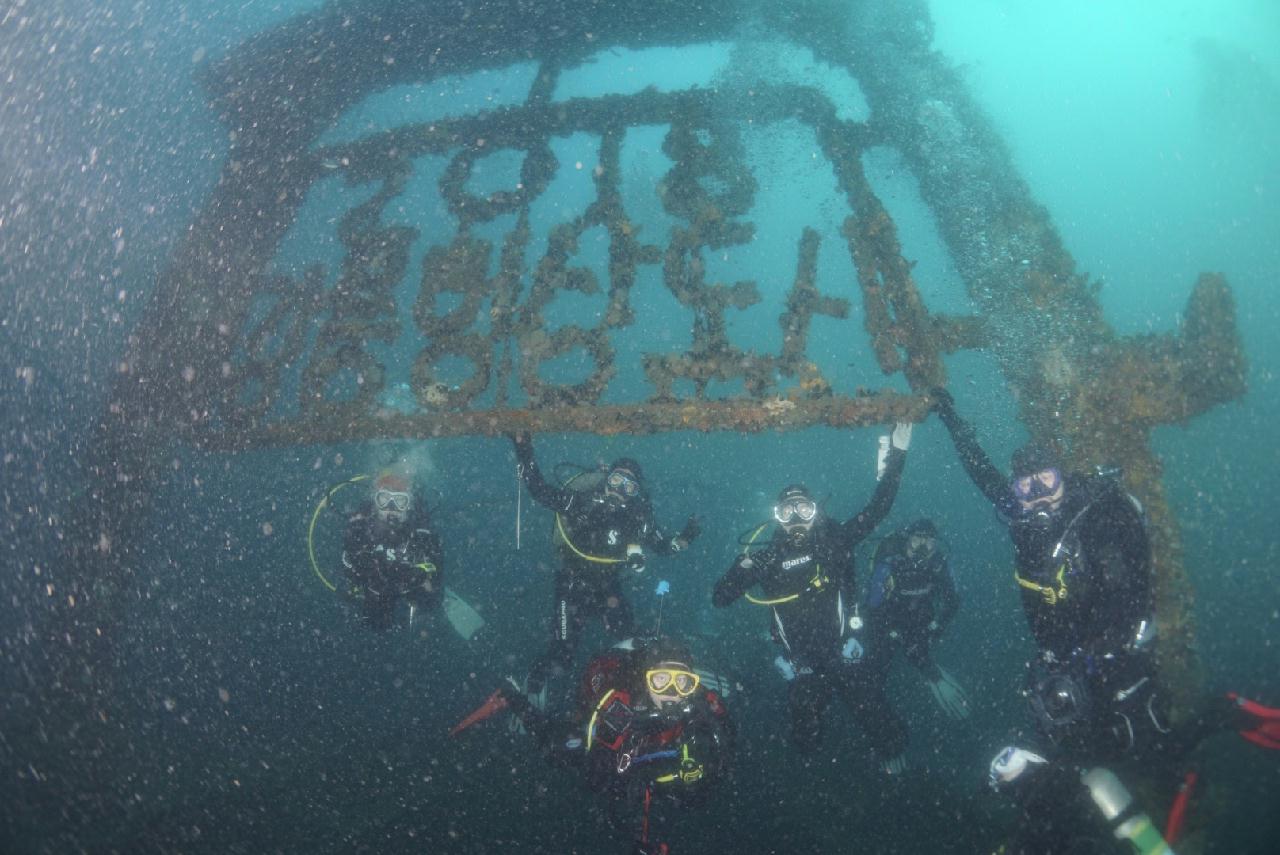 강릉사천 마린플래닛 - 엠버 33난파선