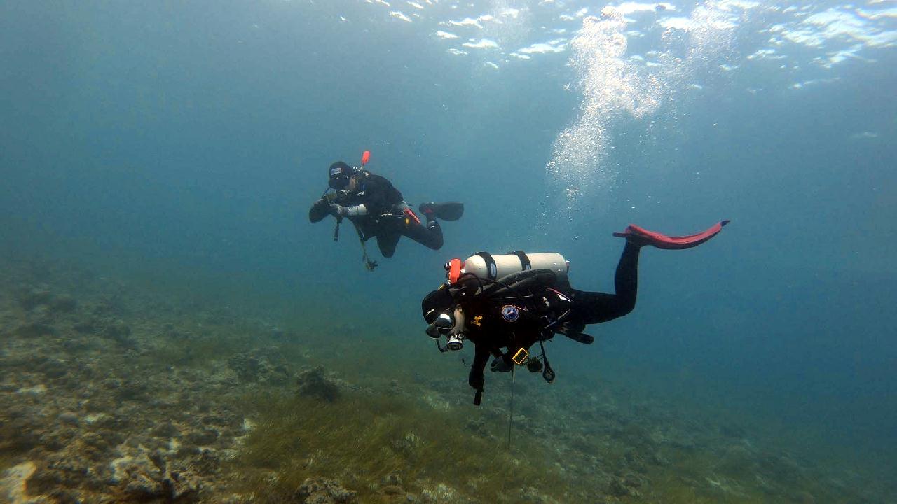 Cebu Blue sea Dive,  Tambuli Airplane