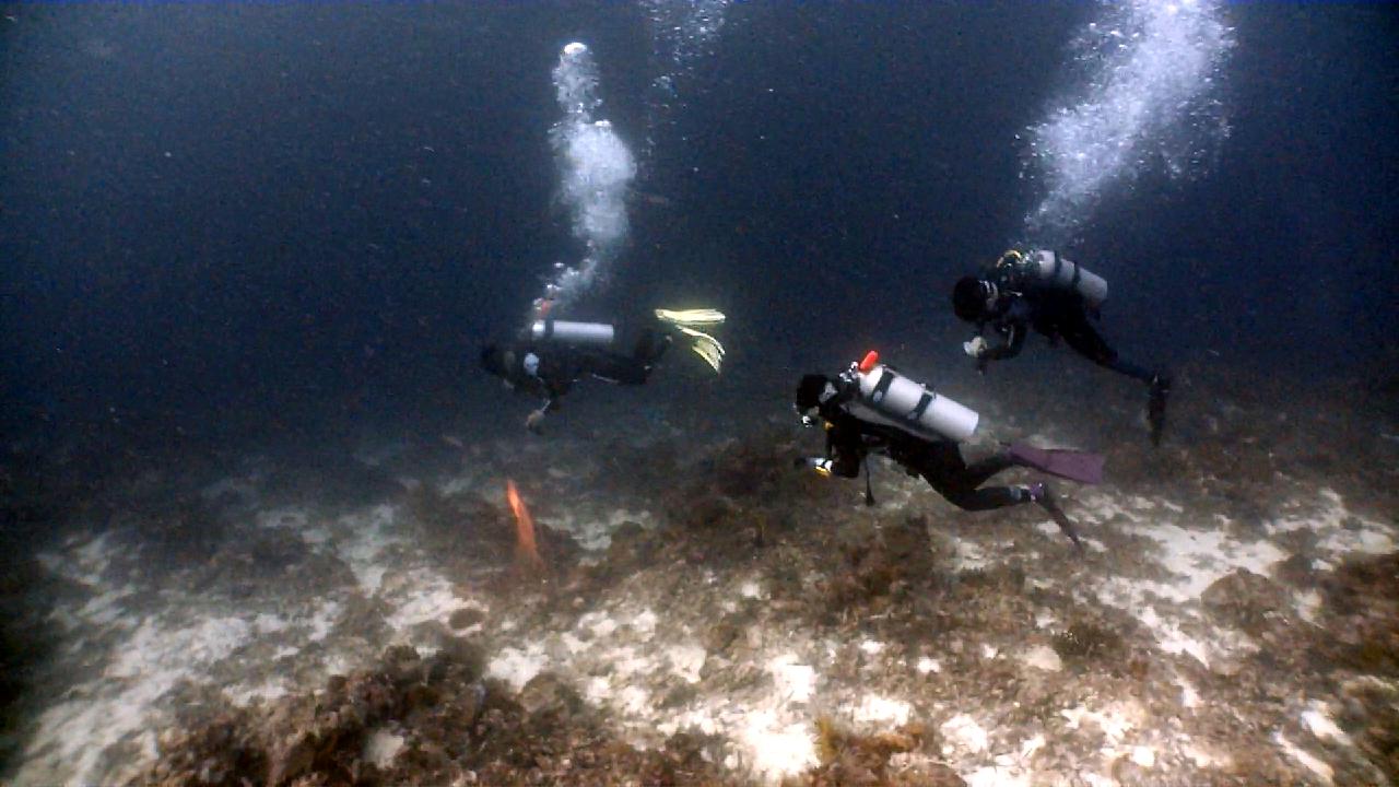 Cebu Blue sea Dive, Hilutungan-2