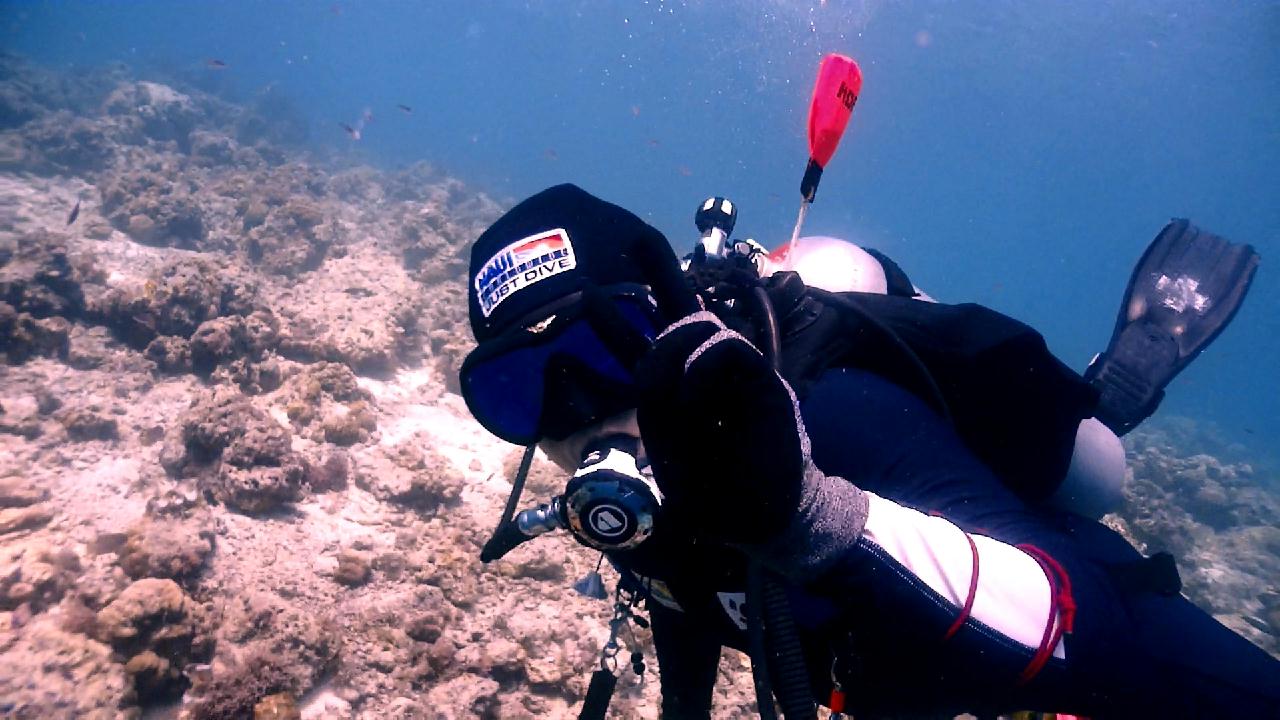Cebu Blue sea Dive, Kontiki House Reef.