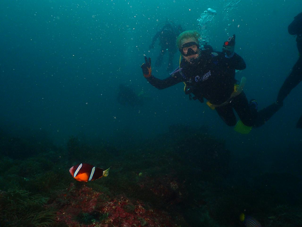 니모를 찾아서 고고고~~