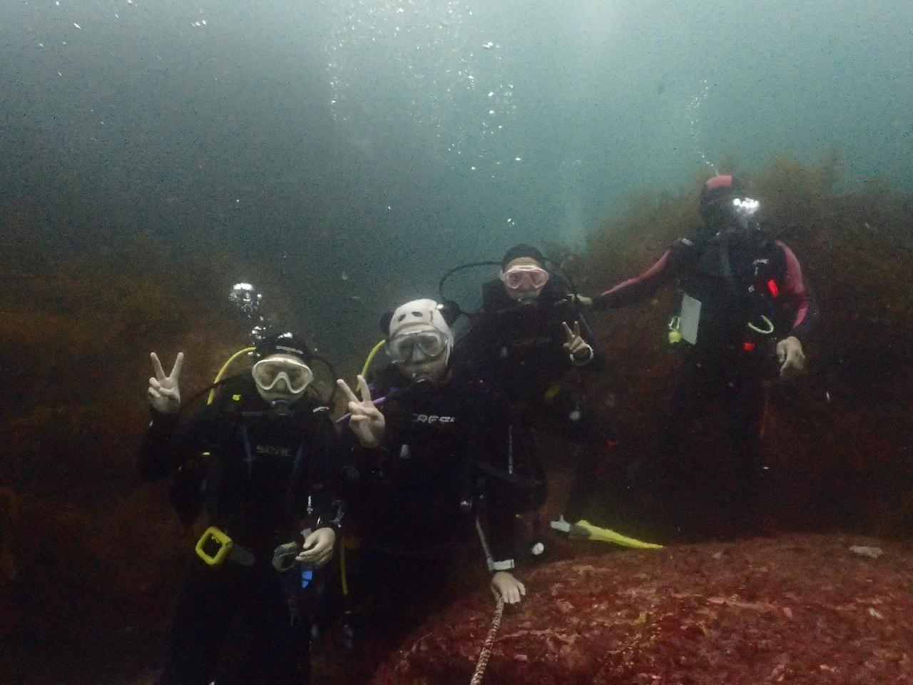 제주대 학생들 오픈워터 다이버 축하축하~
