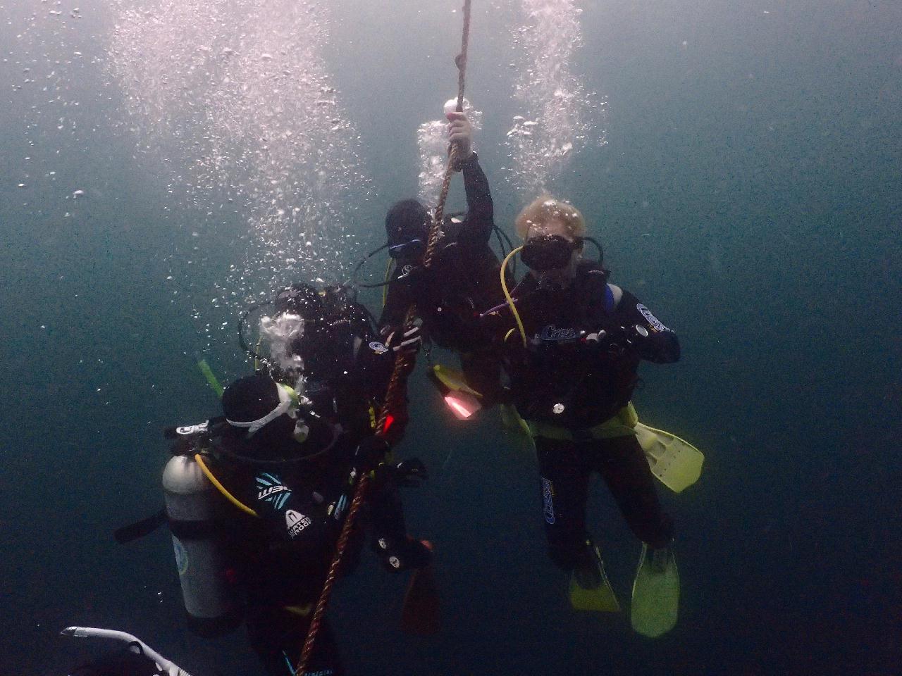 야간 다이빙 같은 주간 다이빙