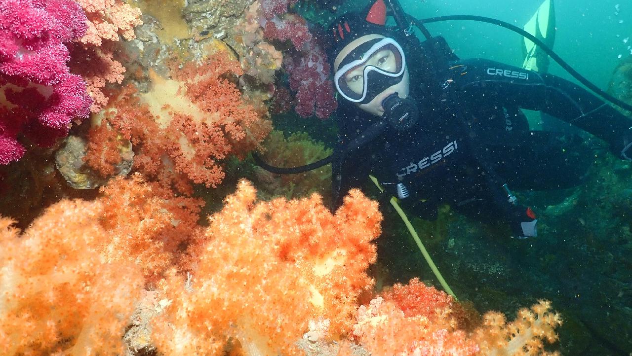 레스큐다이버 펀다이빙 1