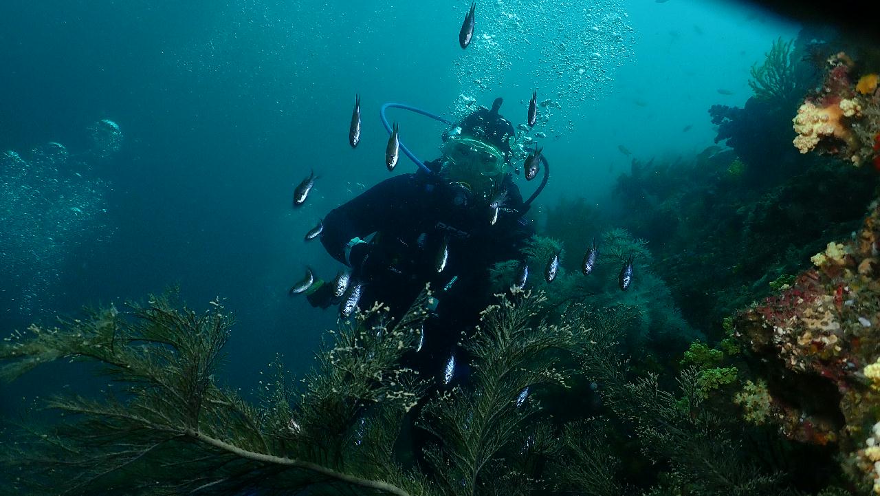 레스큐 펀다이빙 4