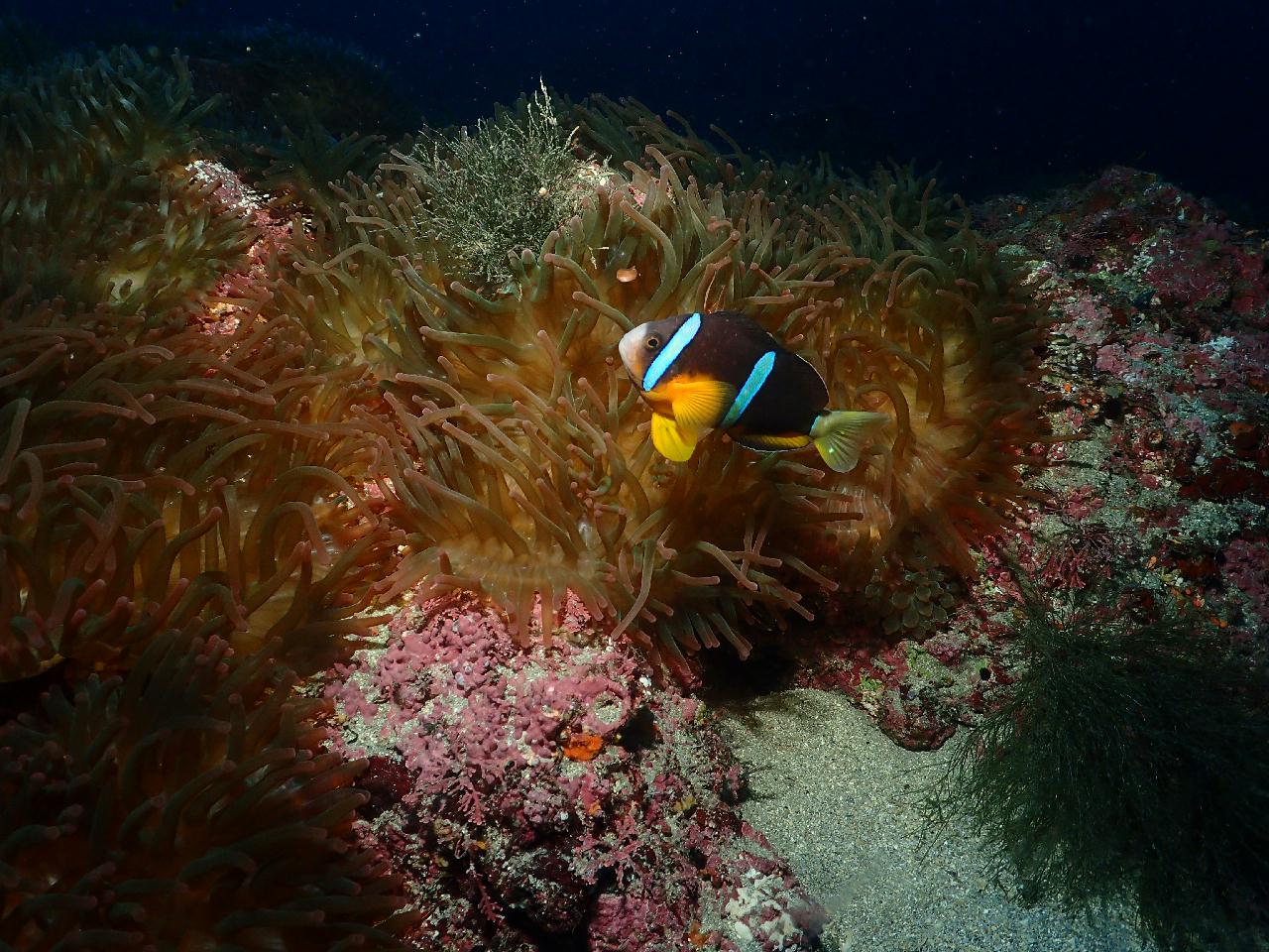 수면위는 너울이 있는데