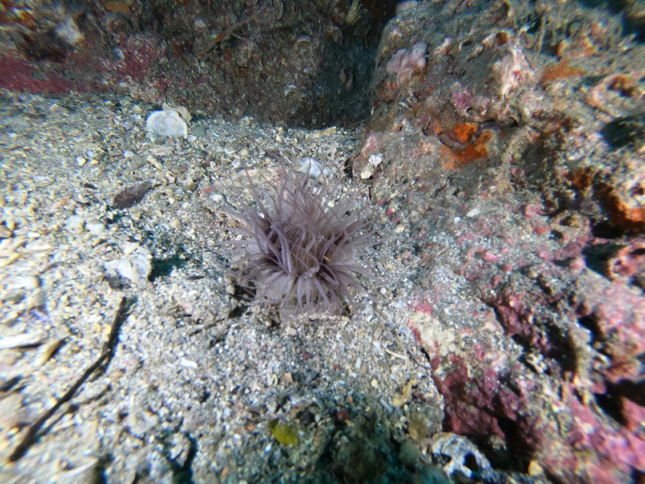 수면위는 너울이 있는데