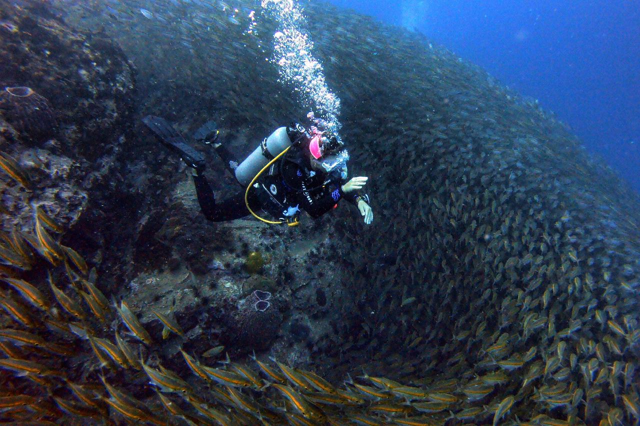 Koh tao - Chumphon 