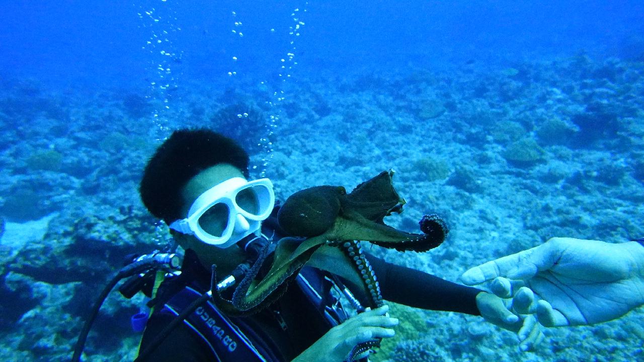 사이판 - 아이스크림