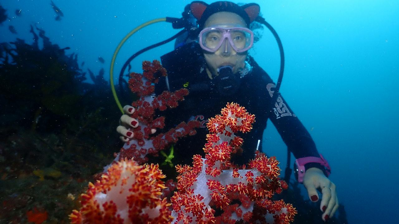 Diving with our guests from China