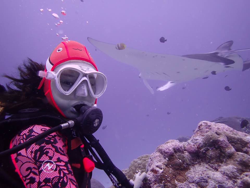 팔라우 다이빙 1일차 저먼채널