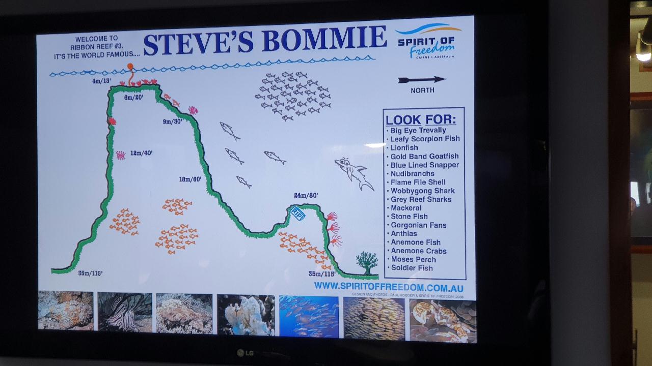 Great Barrior Reef - #1 Steve