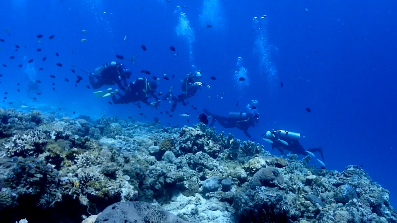 Palawan Coron W Dive Resort Dimipac