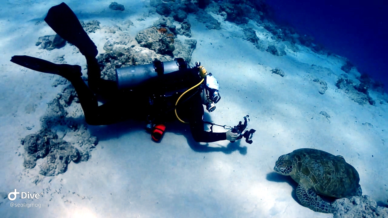 Palawan Coron W Dive Resort - Dimpac