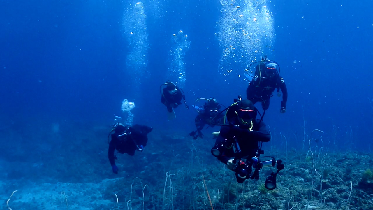 Palawan Coron W Dive Resort Cathedral Cave