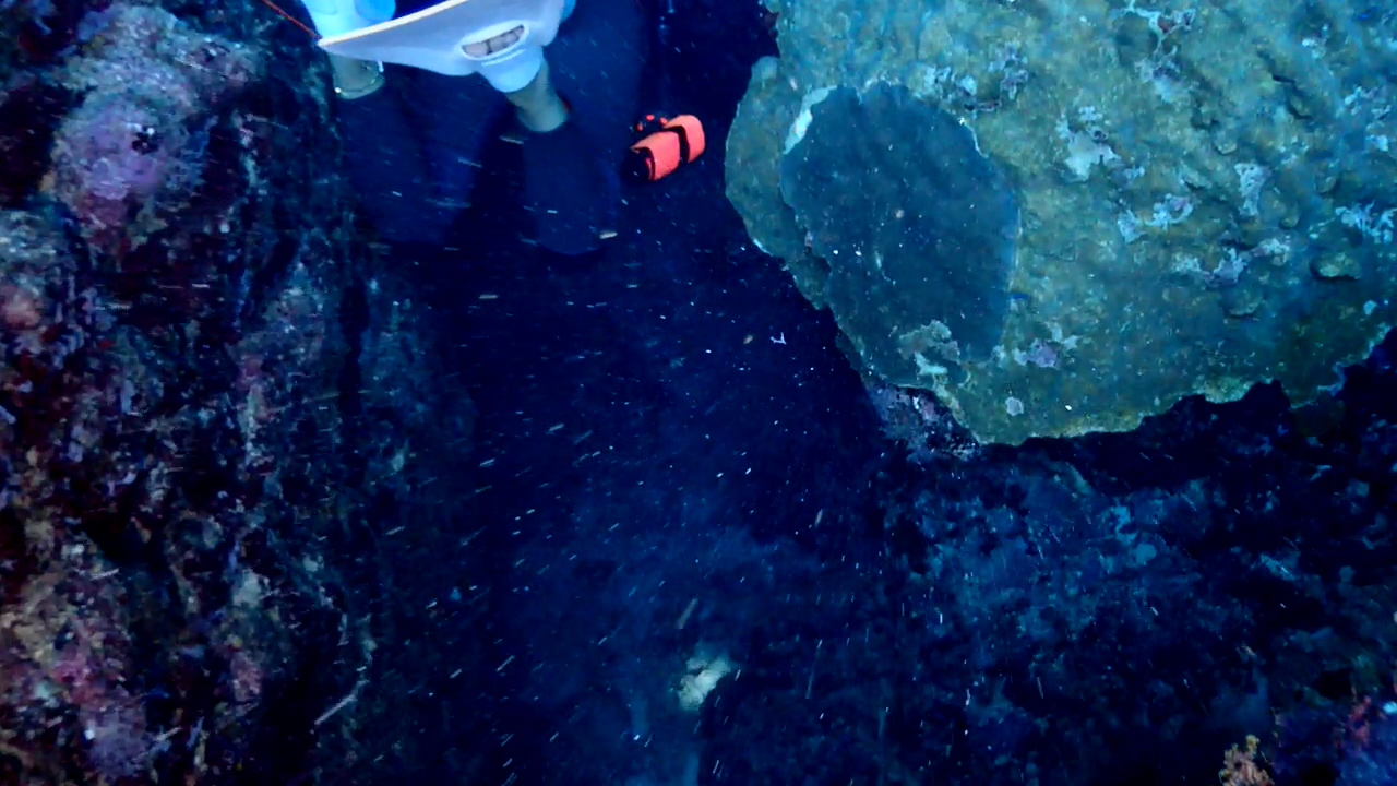 Palawan Coron W Dive Resort Cathedral Cave