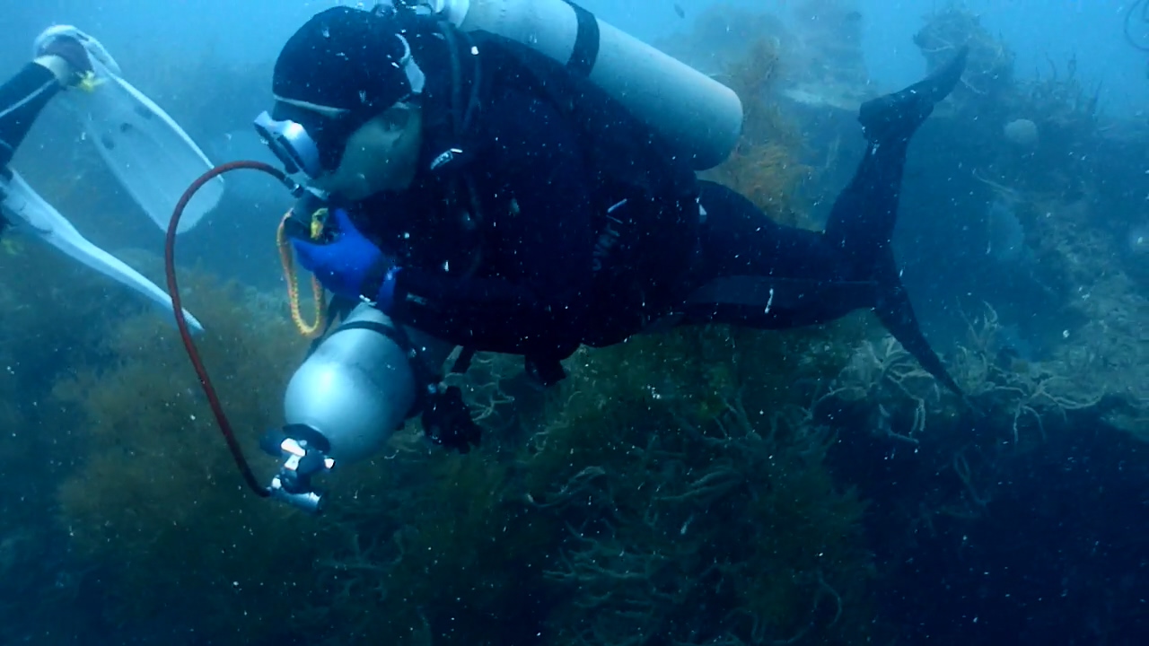 Palawan CoronW Dive Center - Kogyo Maru