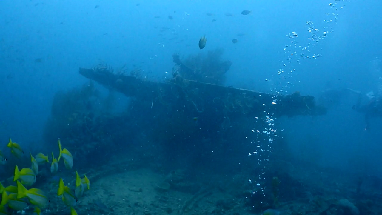 Palawan Coron W Dive Resort Olympia Maru