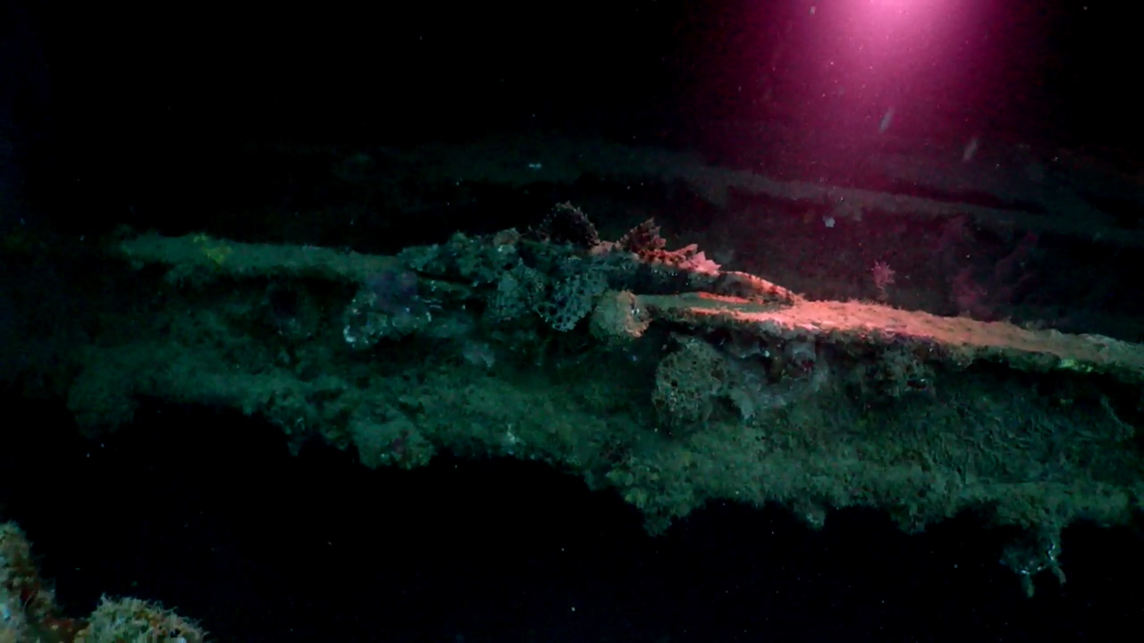 Palawan Coron W Dive Resort Olympia Maru