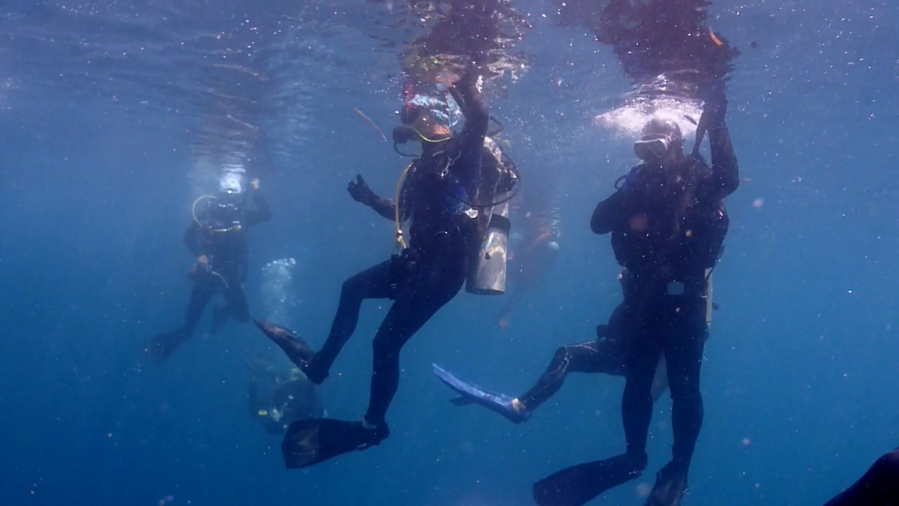 Palawan Coron W Dive Resort Olympia Maru