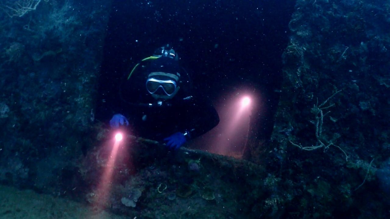 Palawan Coron W Dive Resort Olympia Maru