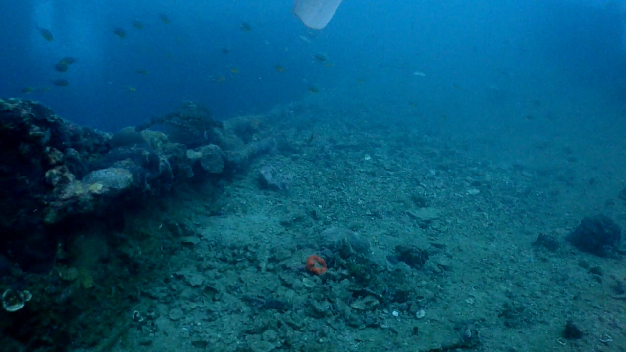 Palawan Coron W Dive Resort Olympia Maru
