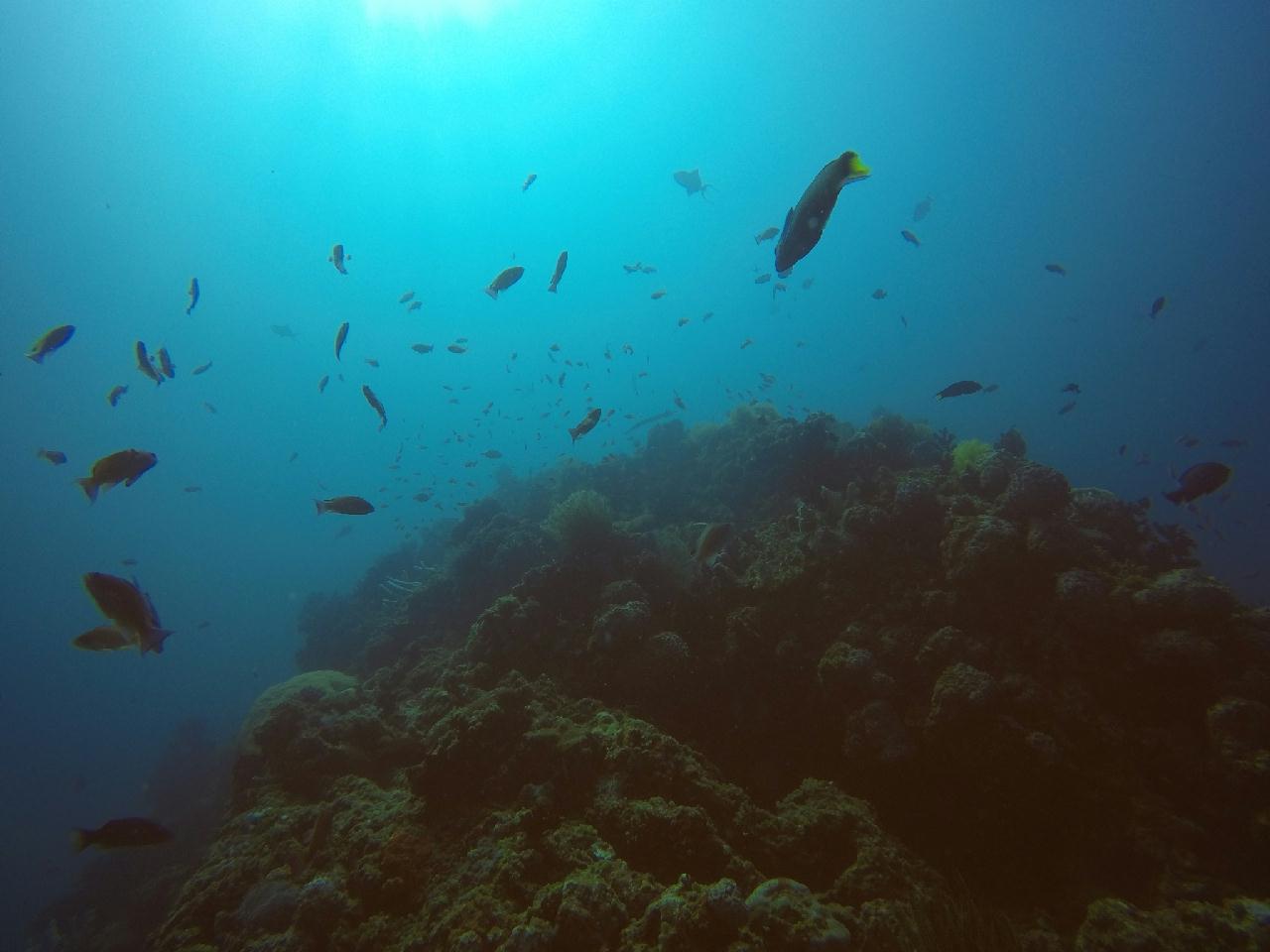 아닐라오 [보호텔]_카테드랄