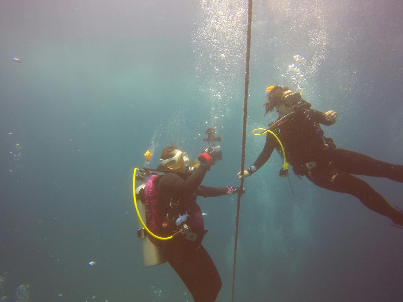 아닐라오 [보호텔]_카테드랄