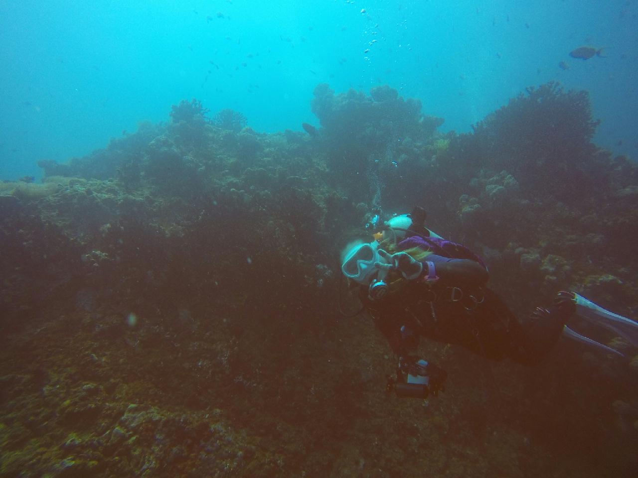 아닐라오 [보호텔]_카테드랄