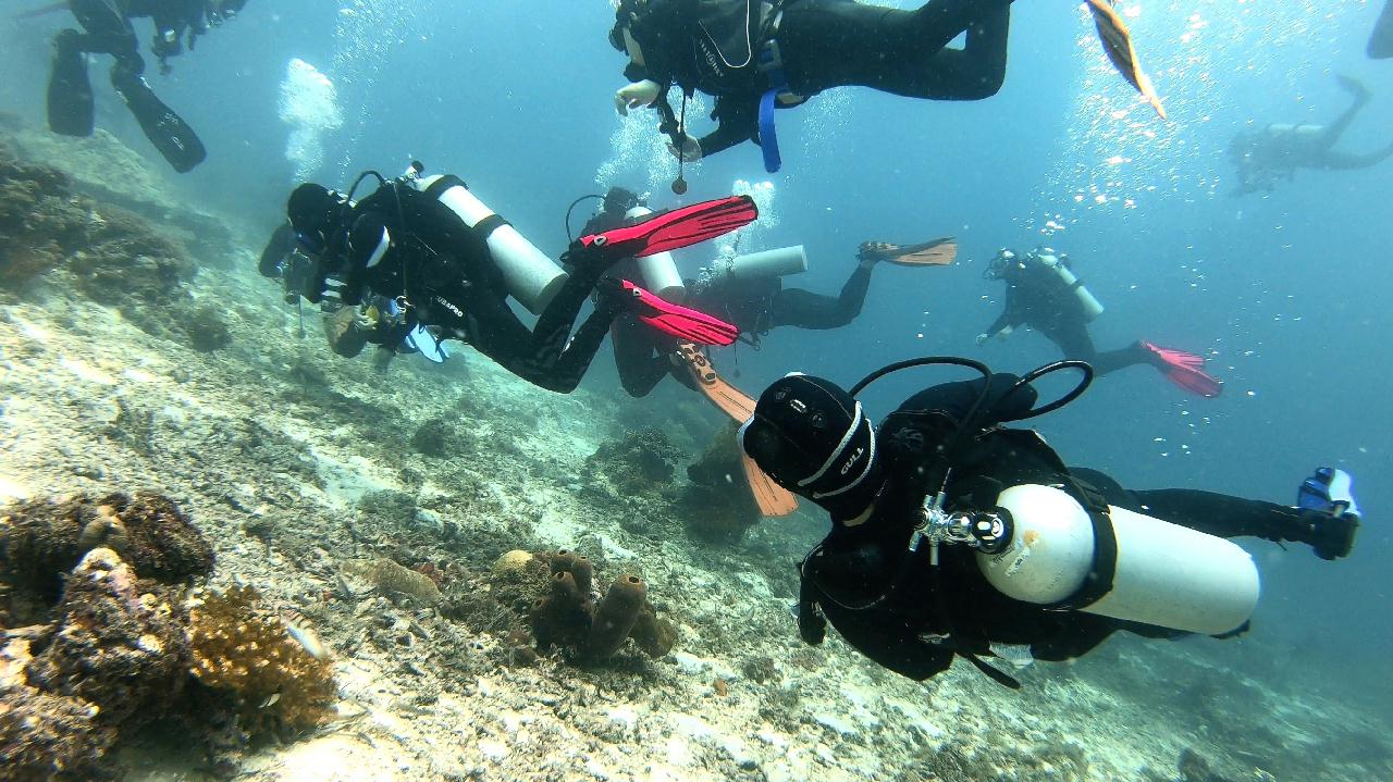 CEBU SEAHORSE DIVE - Olango