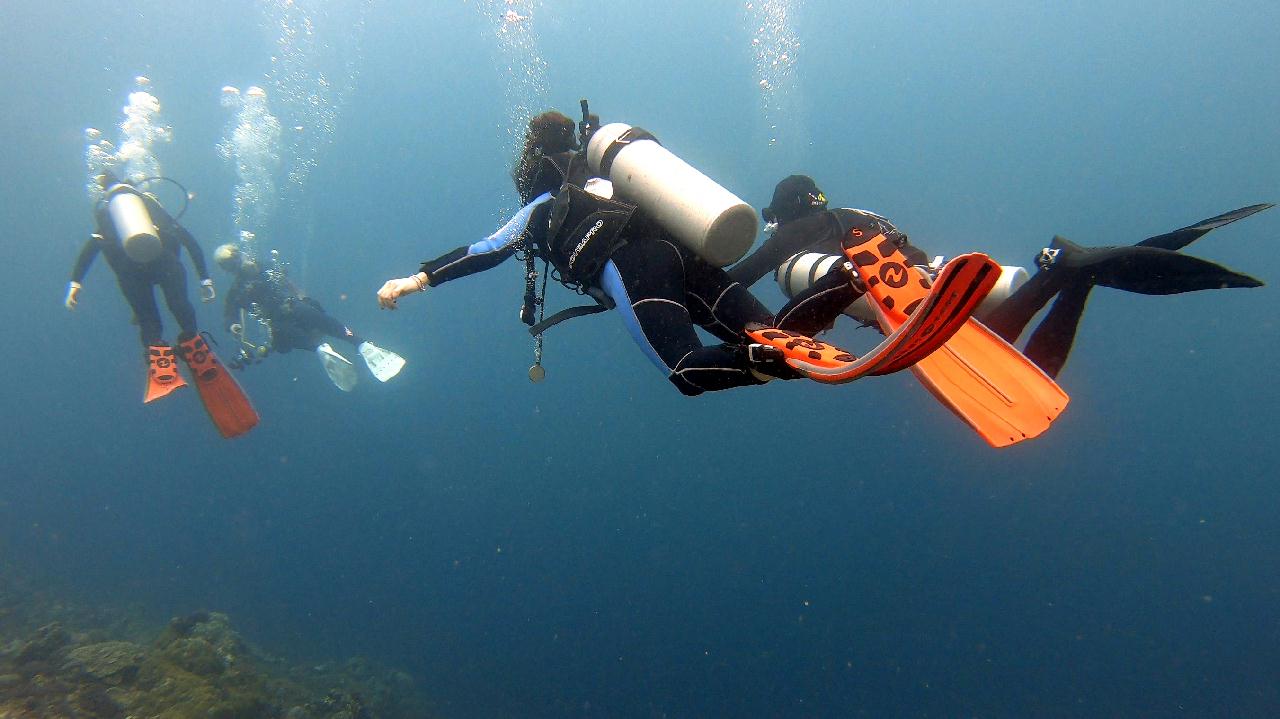 CEBU SEAHORSE DIVE - Marine station