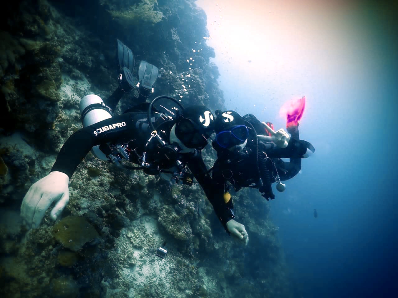 CEBU SEAHORSE DIVE - Nalusuan sanctuary