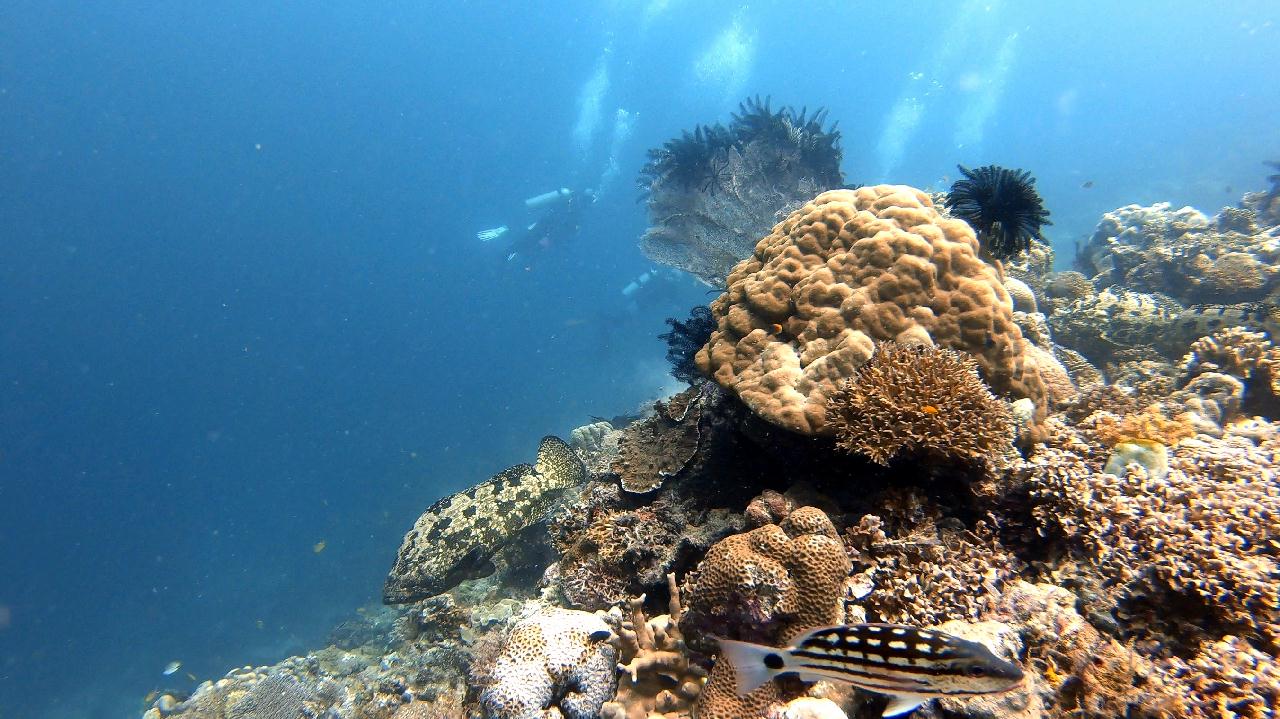 날루수안 시야대박~~~!