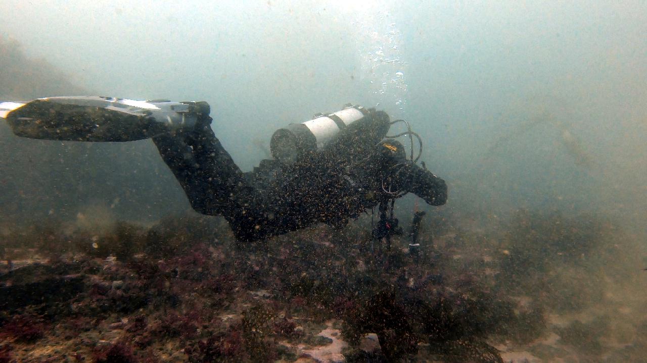 청진 다이브11 - 시크릿가든