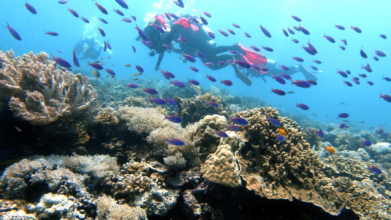 날루수안 시야대박~~~!