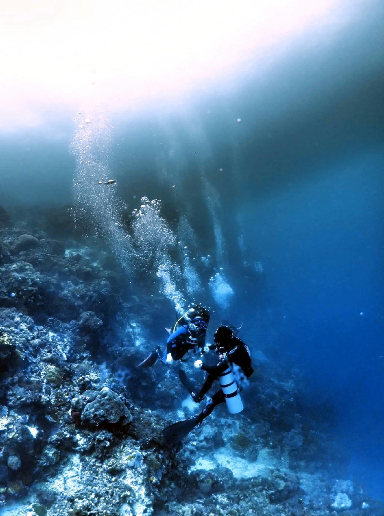 Cebu seahorsedive - Kontiki