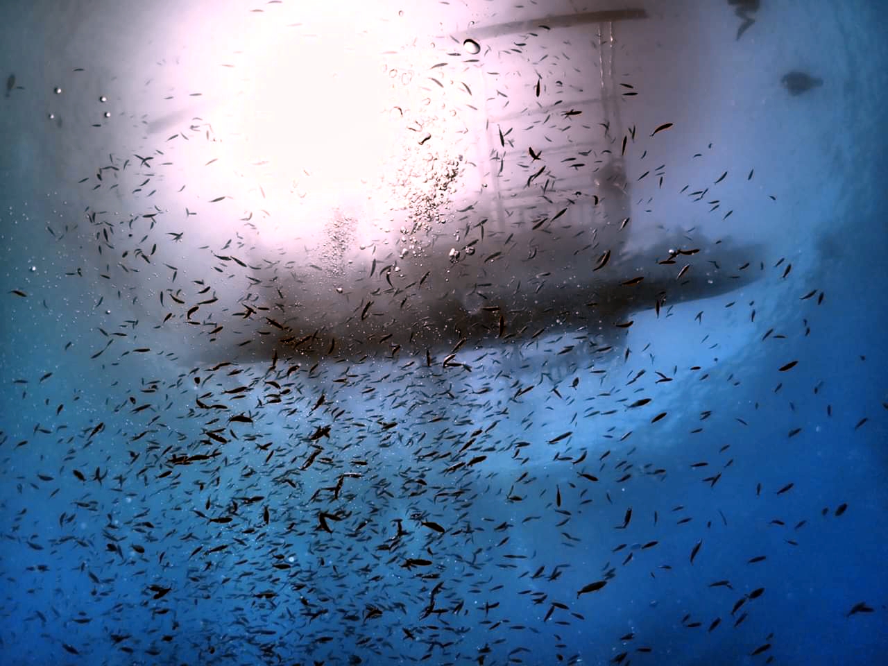 날루수안 시야대박~~~!