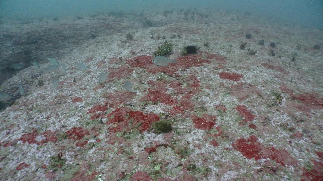 수중동굴 다이빙